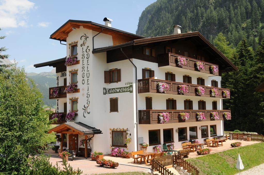 Cesa Edelweiss Living & Spa Campitello di Fassa Eksteriør billede